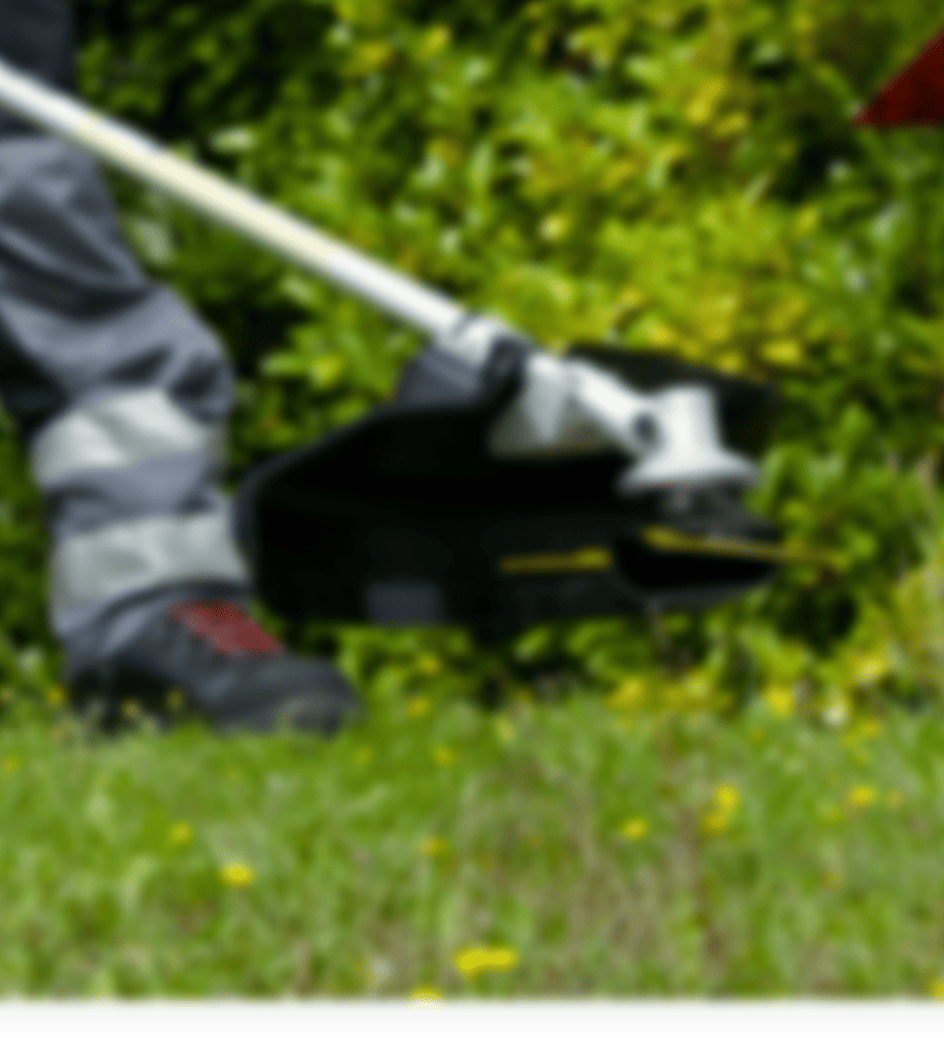 Oregon Garden Background